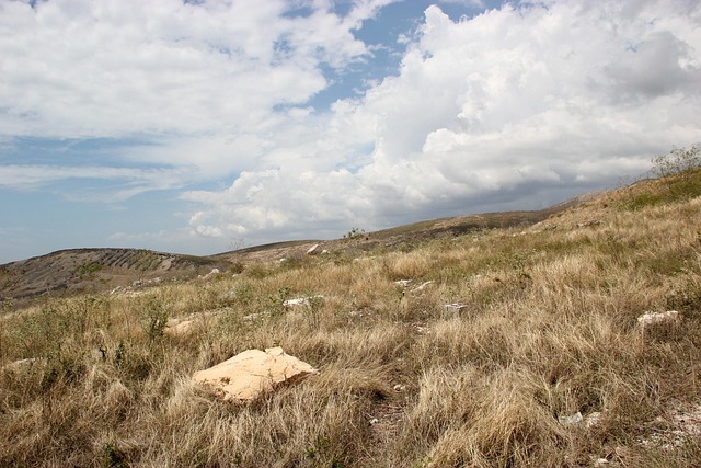 Free Sky Landscape photo and picture