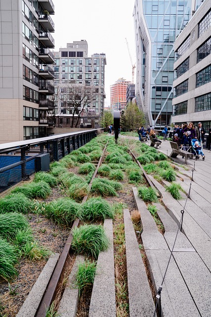 High Line Park, Park, Město, Chodník