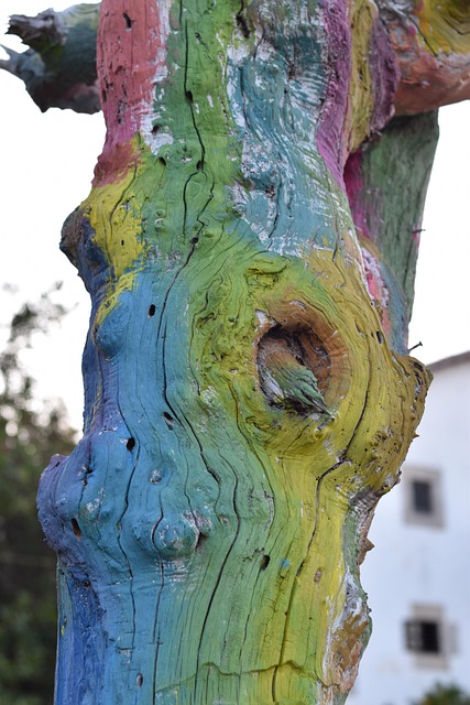 Free Tree Nature photo and picture