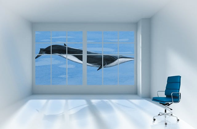 Free whale aquarium room illustration