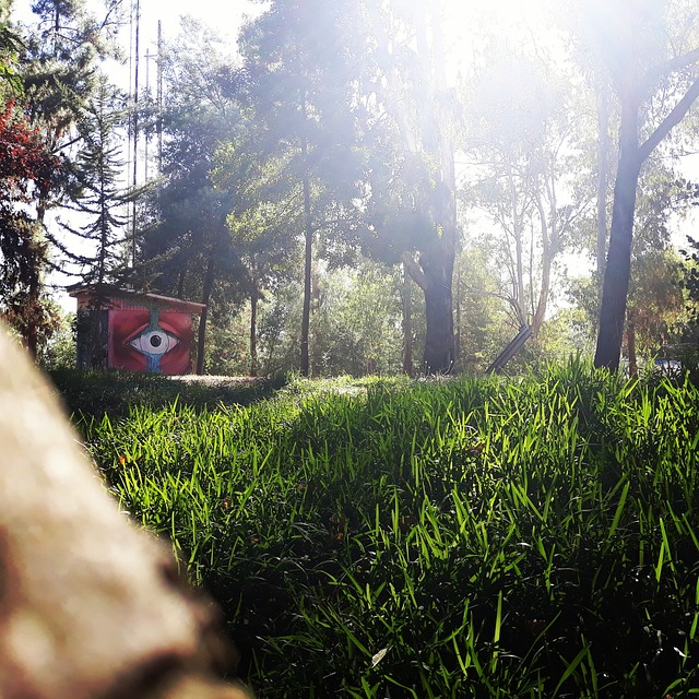 Free Pasto Cerro photo and picture