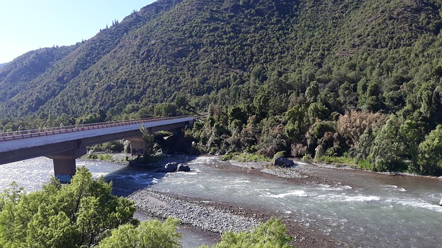 Free Puente Río photo and picture