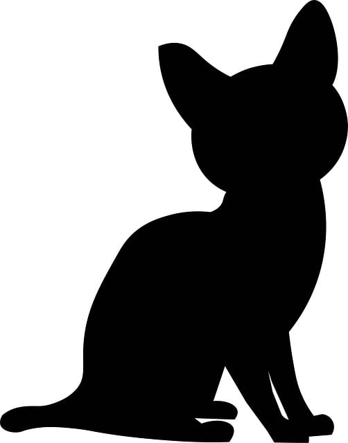 Cat, Dyr, Natur, Silhuett, Svart