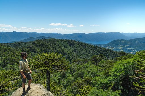 Homem, Alpinista, Montanhas, Arvores