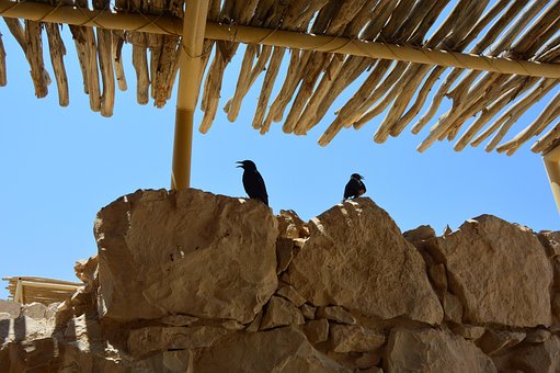Free Israel Masada photo and picture