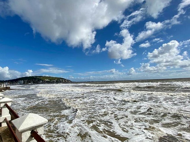 Landschaft, Uruguay, Liebling, Sommer