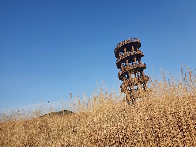 Free Korea Tourist Destination photo and picture