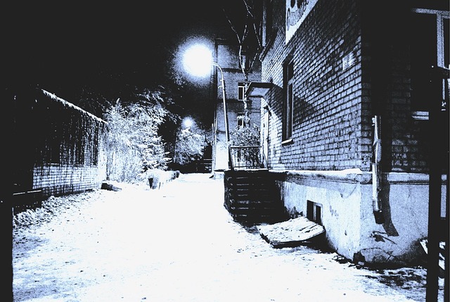 Free Night Street photo and picture