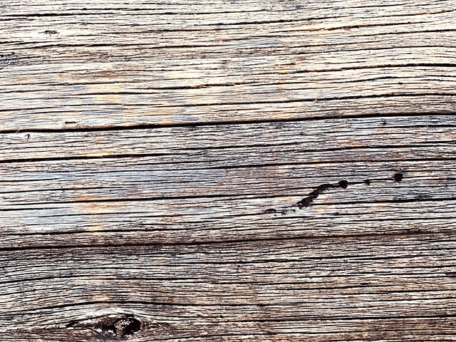 Free Wood Nps photo and picture