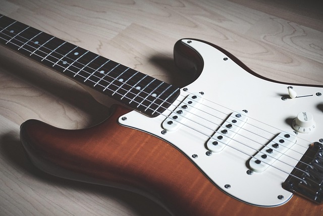 Free Guitar Vintage photo and picture