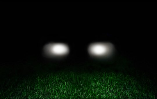 Free Automobile Meadow photo and picture