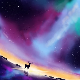 Digitale Maleri, Hjort, Galaksen, Himmel