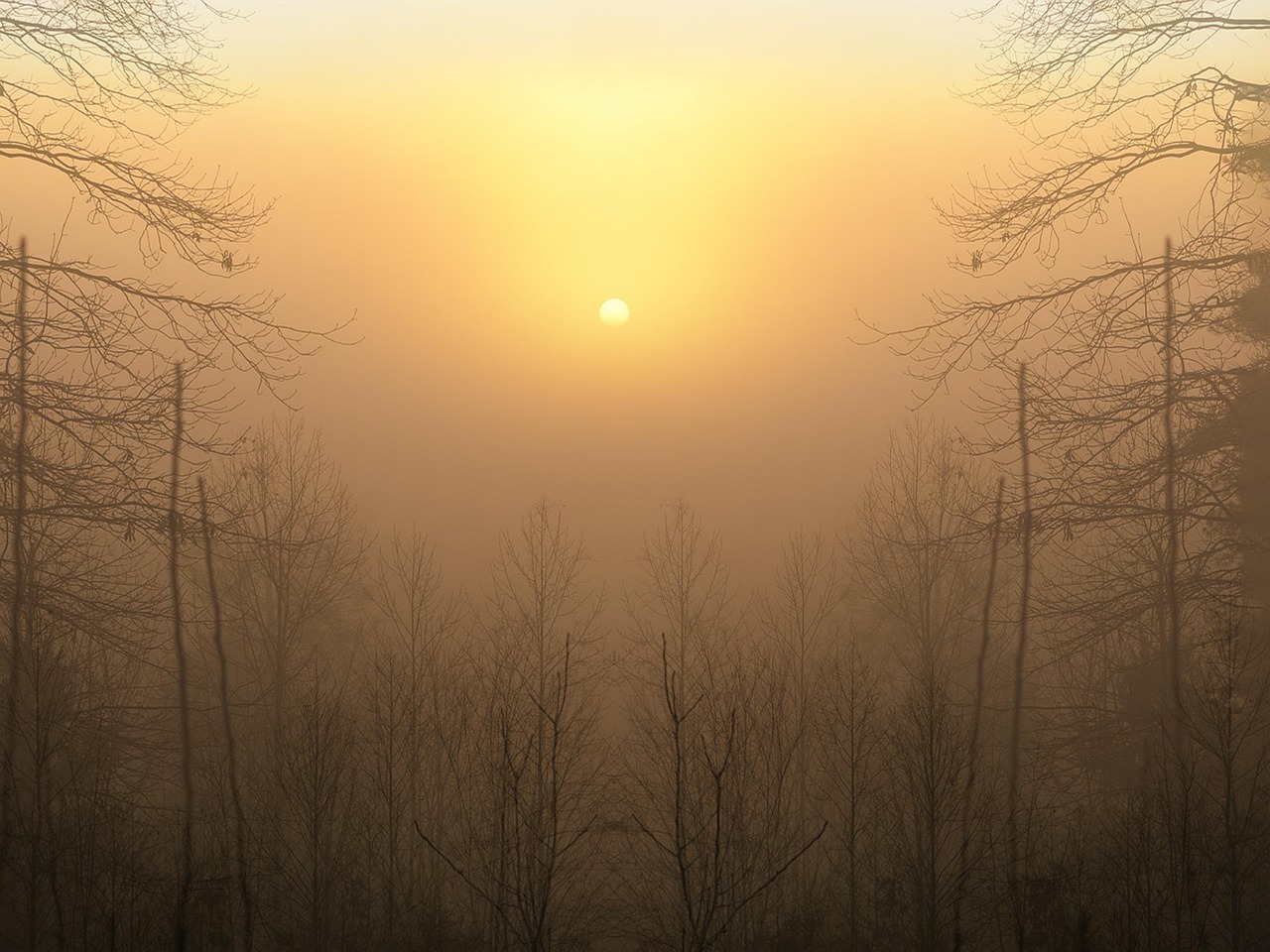 Sunset - free online jigsaw puzzle photo