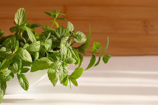 Minze, Küche, Kräuter, Gesund