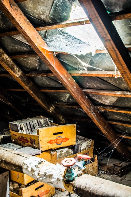 Free Basement Old photo and picture