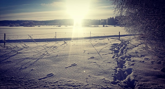 Free Crust Winter photo and picture