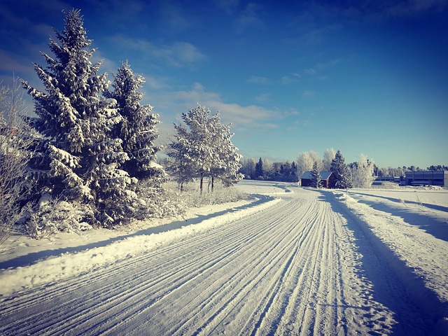 Free Snow Road photo and picture