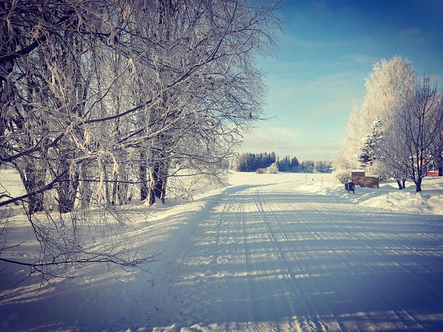 Free Winterinfinland Winter photo and picture