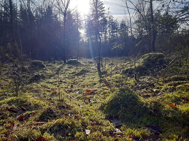 Nationalpark