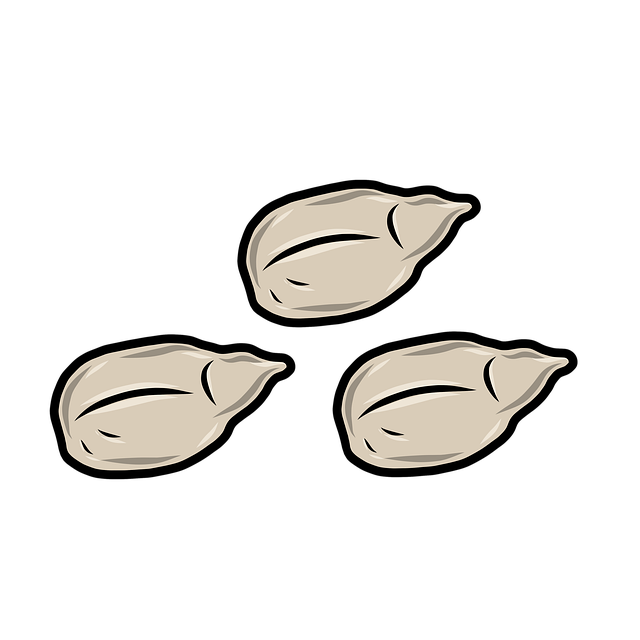Free sunflower seeds food icon illustration