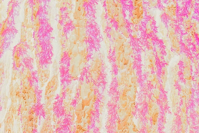 Free abstract watercolor painting illustration