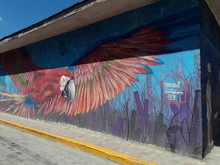 Ave, Pared, Pintura, Arte, Kunst, Malen