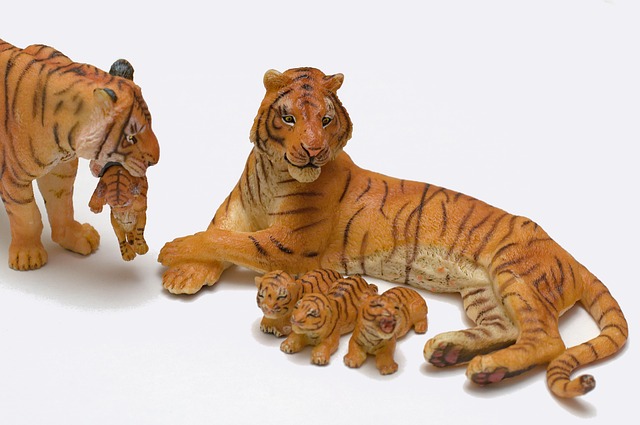 Free Tiger Family photo and picture