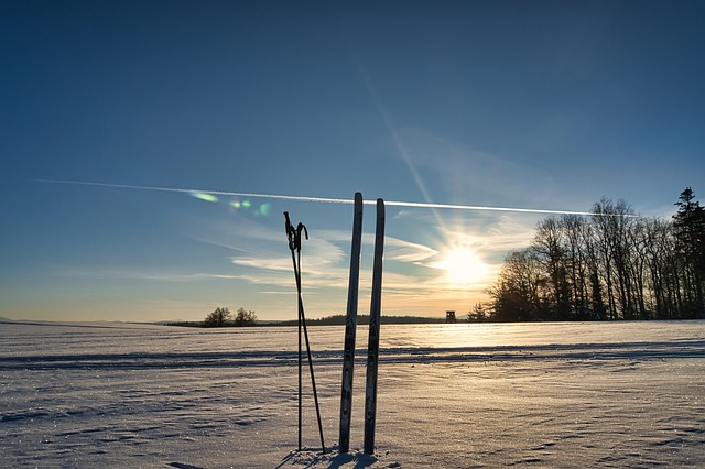 Free Ski Snow photo and picture