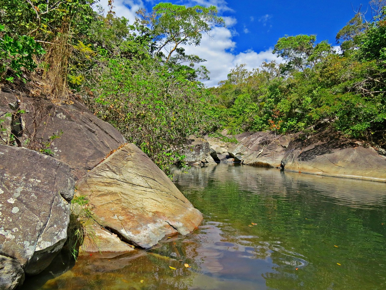 Stream Rocks Blue Stream Rocks Plants - Free photo on Pixabay - Pixabay