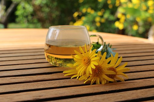 Free Tea Nature photo and picture