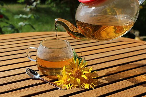 Free Tisane Infusion photo and picture
