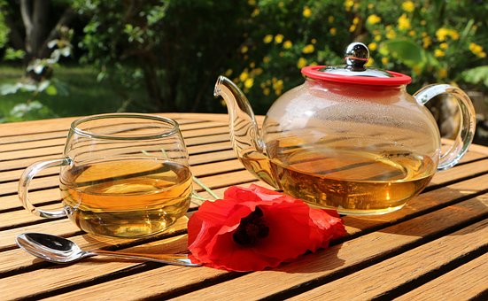 Free Tisane Infusion photo and picture