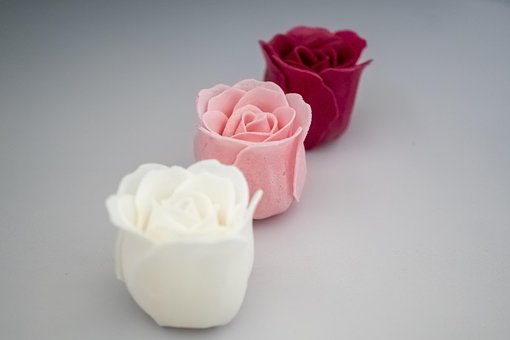 Free Roses Flowers photo and picture