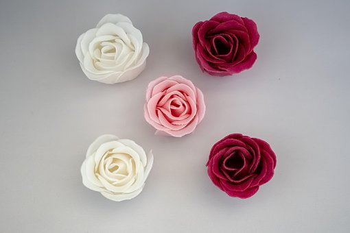 Free Love Roses photo and picture