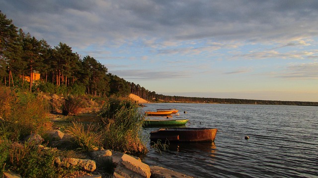 Free Water Beach photo and picture