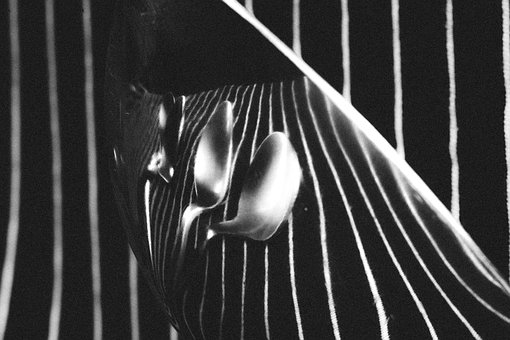 Free Spoons Black And White photo and picture