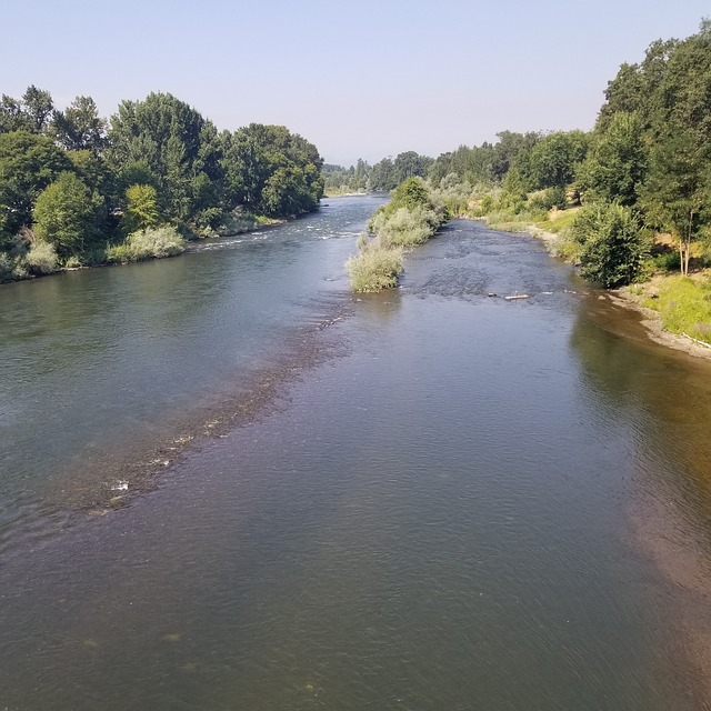 Free River Water photo and picture