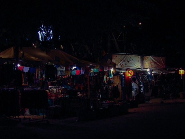 Free Night Fair photo and picture