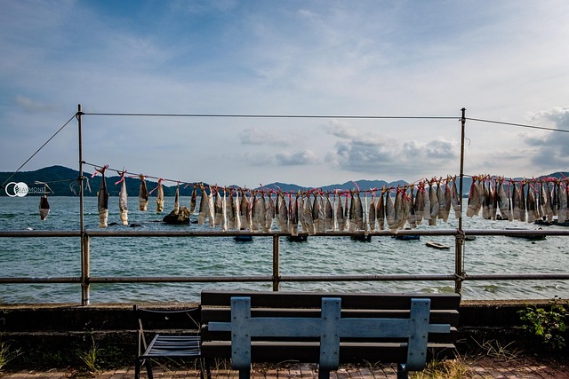 Free Horizon Fish photo and picture