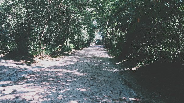 Free Nature Park photo and picture