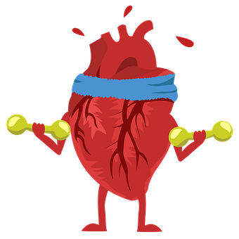 Free Heart Exercise illustration and picture