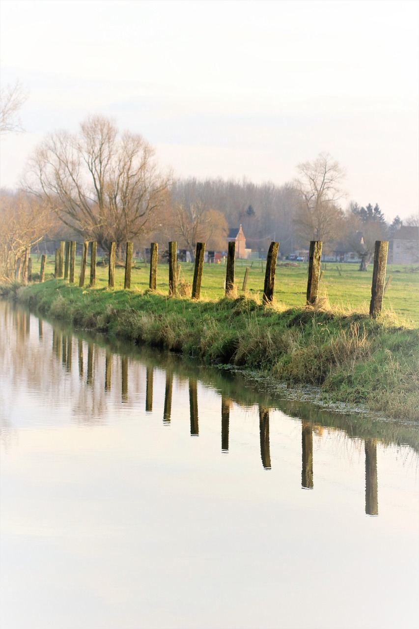 Libre Rio Río Reflexión Al Aire Libre - Foto gratis en Pixabay - Pixabay