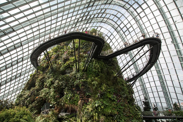 Free Botanic Garden photo and picture