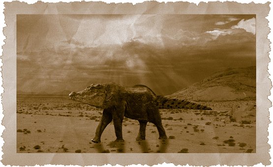Free Mystical Nature photo and picture