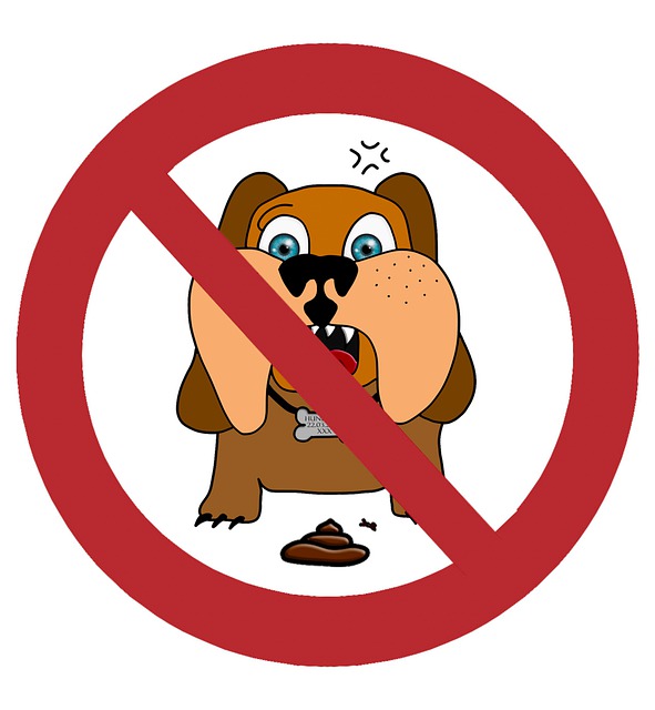 Free Dog Walkie illustration and picture