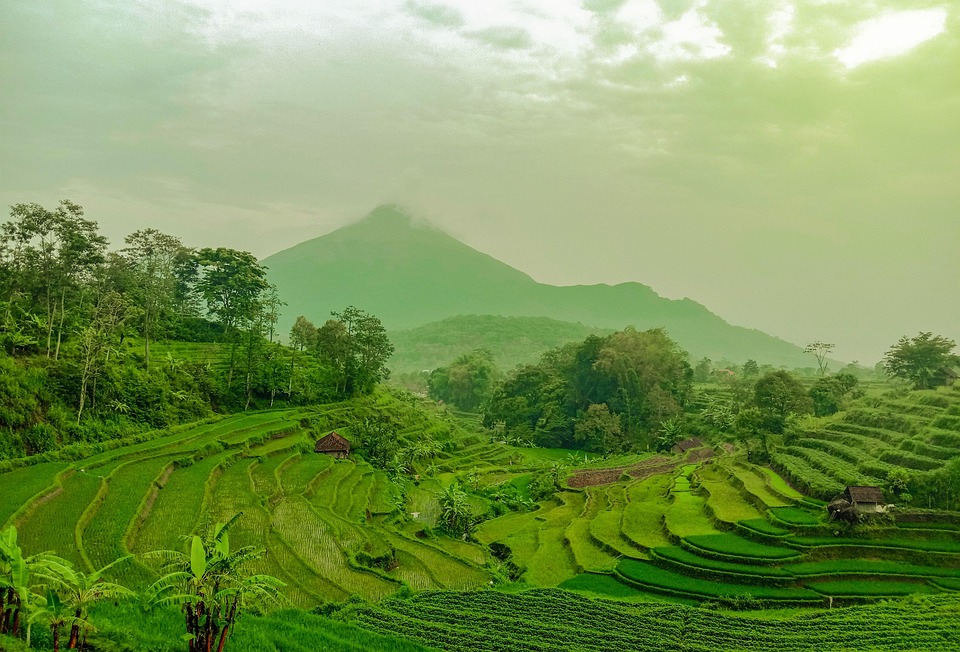 フィールド 山 丘 - Pixabayの無料写真 - Pixabay