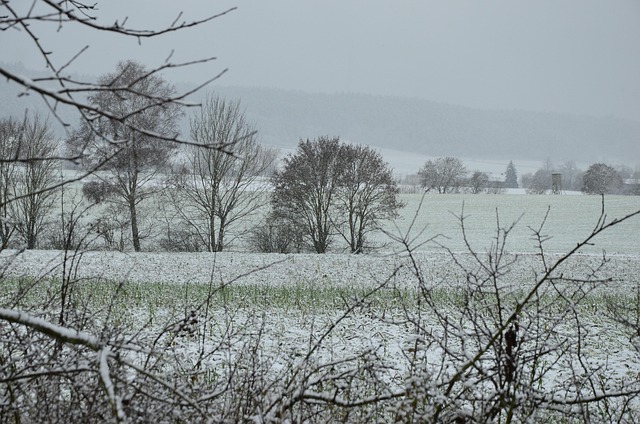 Schneelandschaft, Natur, Dorf, Frost