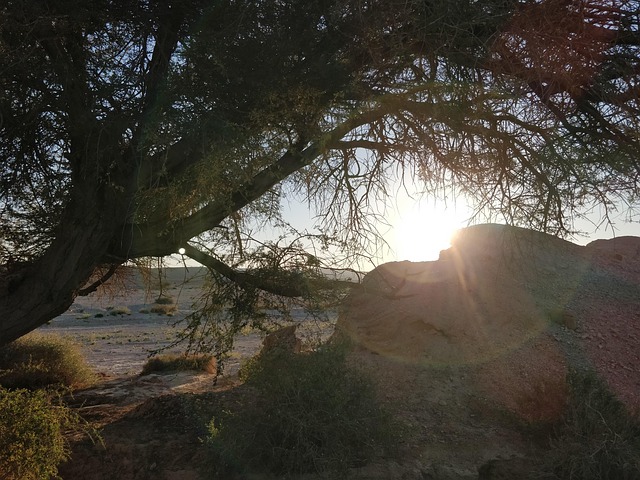 Free Desert Sunset photo and picture