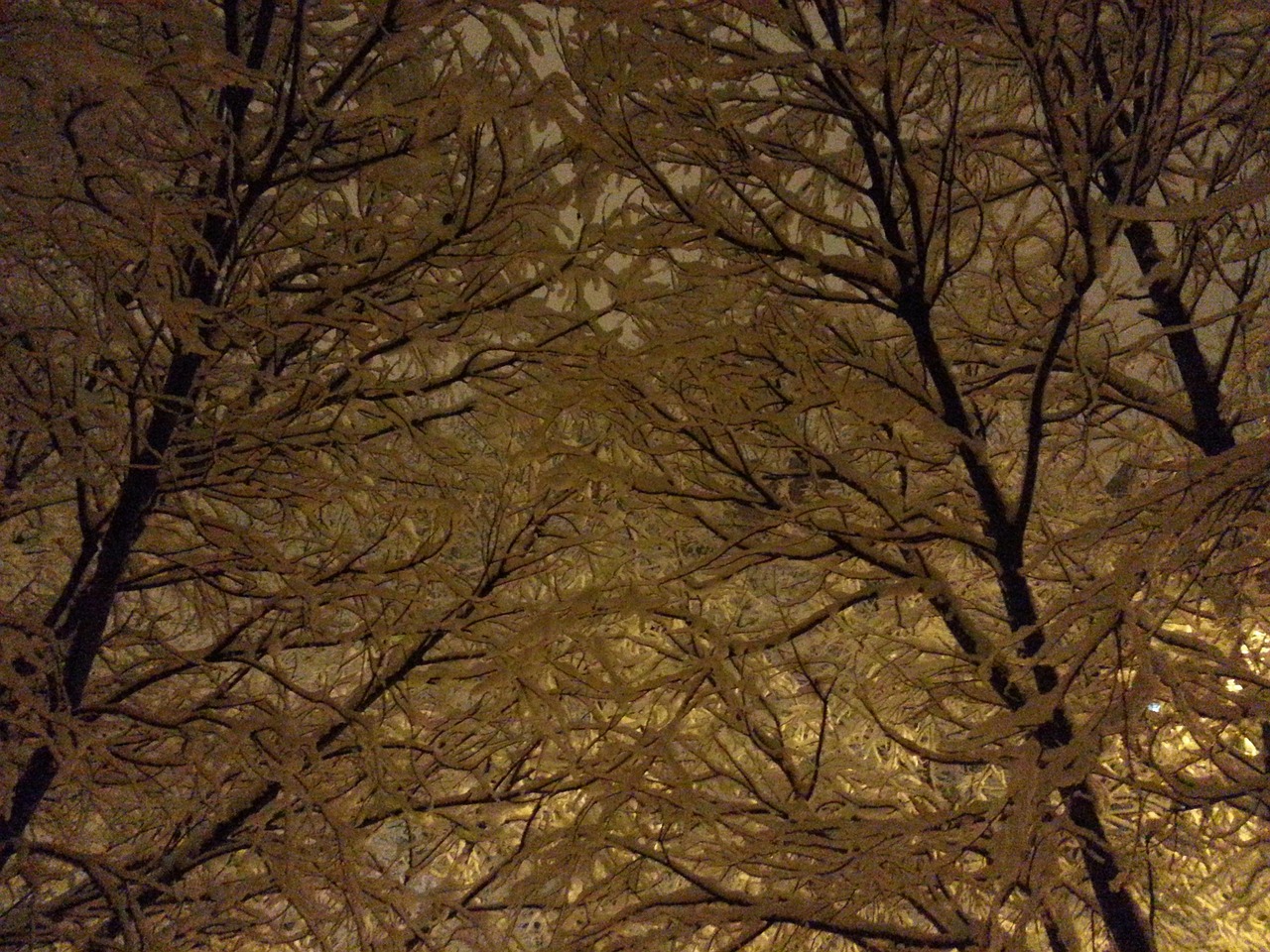 雪 寒冷的 冬季 - Pixabay上的免费照片 - Pixabay