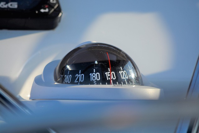Free Compass Wind photo and picture